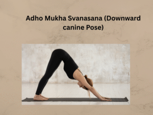 Adho Mukha Svanasana (Downward canine Pose)