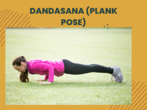Dandasana (Plank Pose)