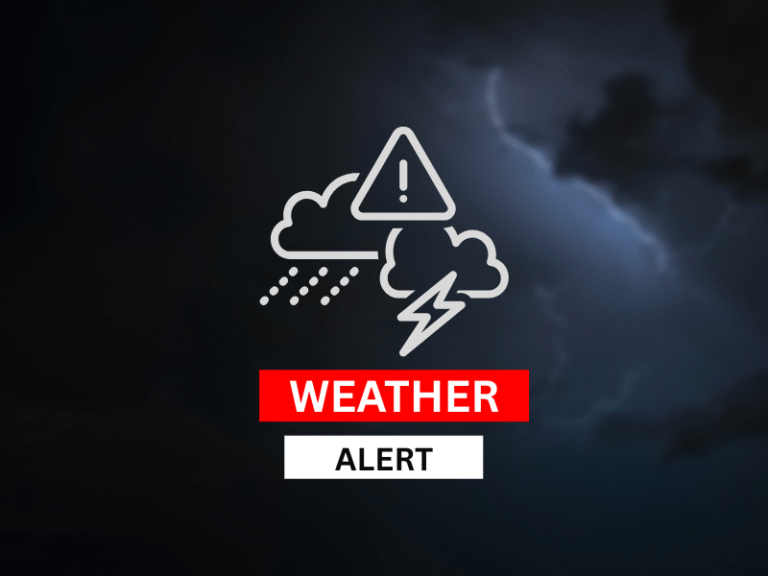 Weather Alert for Gujarat & Madhya Pradesh: Stay Safe Amid Heavy Rains & Storms