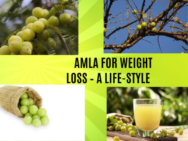 Amla for weight loss- A life style step-by-step guide