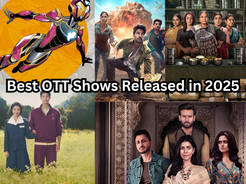 Top OTT Web Series of 2025