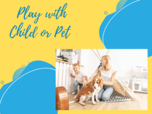 Play with Child or Pet